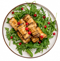 Dish_4-q1i8vu03r8ebey6ym475trk5f9ot362k1hvy5etnuo.png Dish_4-q1i8vu03r8ebey6ym475trk5f9ot362k1hvy5etnuo.png